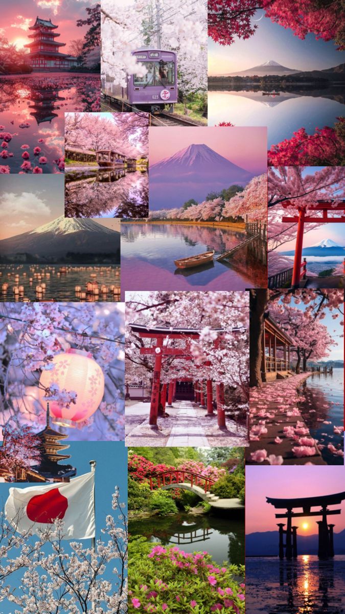 The Ultimate 7-Day Japan Itinerary β Your Perfect Week in Japan