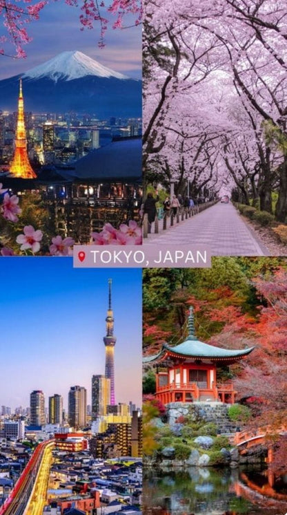 The Ultimate 7-Day Japan Itinerary – Your Perfect Week in Japan